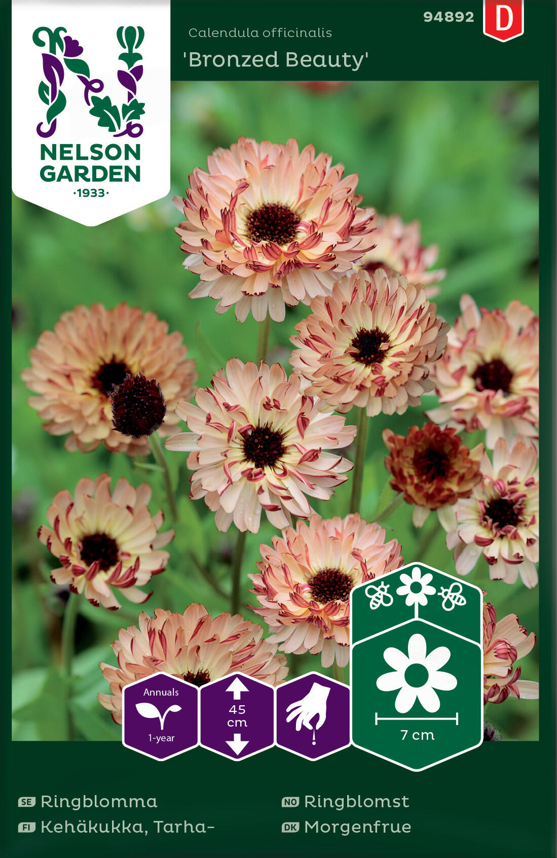 Ringblomma 'Bronzed Beauty'